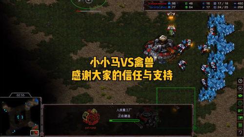 星际小小马爆料视频,星际探险背后的神秘故事